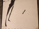 Scratch Acid S/T 12