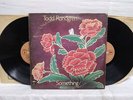 Todd Rundgren Something / Anything 2 x vinyl LP Bearsville records 2BX 2066 1972