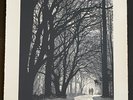 4 x Dan McCarthy prints