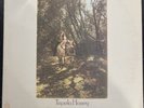 VINYL ALBUM VAN MORRISON TUPELO HONEY - WS 1950