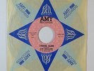 Northern Soul 45 LOU RAGLAND I Travel Alone/Big Wheel on Amy VG+