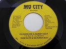 45 SWEET SOUL/FUNK Mo-City DANI RAY & NATURE'S WAY Try Something New