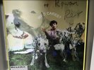 SIGNED Who Cares? by Rex Orange County Lenticular Vinyl - Brand New Sealed
