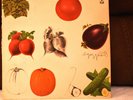 CREAM - Best of Cream - Vinyl LP 1969 ATCO Records - SD-33-291 - Private