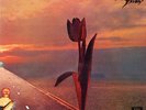 Parachute by The Pretty Things (Record, 2014)