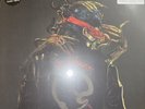 Queens Of The Stone Age In Times New Roman Ltd Edition Glow In The Dark Vinyl