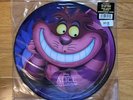 Alice in Wonderland: Songs From the Motion Picture (Vinyl LP) RARE Picture Disc