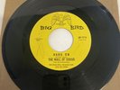 The WALL OF SOUND 45, 7” On Big Bird. Hang On. Fuzz Northern Soul. 60’s Garage