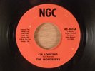 The Montereys  I'm Looking/Get Down RARE  Florida Funk Soul  1971 NGC