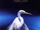 FAITH NO MORE - ANGEL DUST, 2023 EU vinyl 2LP, NEW - SEALED