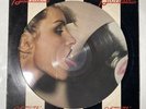 Blondie Parallel Lines Album Picture Disc Vinyl Record. 1978. Chrysalis. EX-.