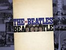 THE BEATLES -  Budokan Hall Tokyo 30TH jUNE 1966 RECORD