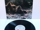 R.E.M. - Murmur (UK Vinyl LP, 1983). First Pressing, EX/NM