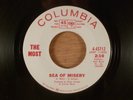 The Most Sea Of Misery/We'll Make Out All Right Promo RARE  Garage, Mod, Psych