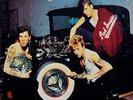 STRAY CATS 