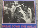 Youth Of Today- Break Down The Walls VINYL 1986 Wishing Well Records 80 Hardcore
