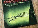 Counting Crows Recovering The Satellites 2xLP Vinyl Reissue 180gm M DGC