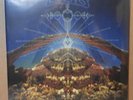 CHRIS ROBINSON BROTHERHOOD 