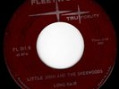 Snotty New England Garage 45 - LITTLE JOHN & SHERWOODS Long Hair - HEAR