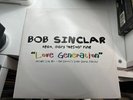 5x12” House Vinyl - Bob Sinclar/DB Boulevard/Alex Gaudino/Moloko/Bel Amour