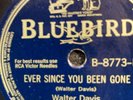 BLUES 78 RPM WALTER DAVIS BLUEBIRD B-8773 E+/E+