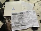 Test Pressung Sun Record 1021 Rockabilly LP 1980 Orion Jimmy Ellis Muster EX