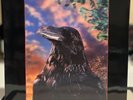 The Stranglers The Raven 3-D Cover UAG 30262 Rare Vinyl W/ Lyric Sleeve - EX++