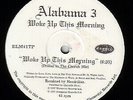 Alabama 3 - Woke Up This Morning (12