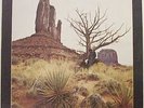 New Riders Of The Purple Sage - Gypsy Cowboy (LP, Album)
