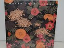 MAGIC CITY HIPPIES - WATER YOUR GARDEN VINYL LP