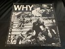 DISCHARGE MIKE STONE / WHY / PUNK ROCK - 1st PRESS 1981 CLAY / VINYL LP EX / VG