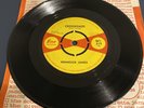 Homesick James Crossroads / My Baby’s Sweet 7” Single Sue Records Excellent