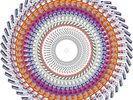 LIAM GALLAGHER & JOHN SQUIRE ZOETROPE VINYL LP NUMBERED NEW PRE-ORDER