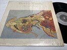 Planetary Unfolding - Michael Sterns - RARE Vinyl LP Continuum Montage EXE- 1004
