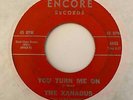 Garage 45 THE XANADUS You Turn Me On/Bankrupt Bothered & Bewildered Encore Rare
