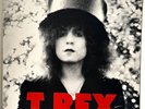 T Rex - The Slider - 1972 - U.K. EMI British Pressing - With Lyric Inner Sleeve