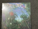 Palace Life After Vinyl NEW RARE