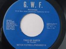 Garage Psych Surf 45 - Mitch Futrell/Paranoya - G.W.F. Record Label