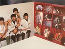 The Beatles   Rarities   1980 Vintage Vinyl Lp   SHAL-12060   VG+