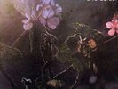 Luis Alberto Spinetta - 18 Del Sol [Used Vinyl LP] Argentina - Import