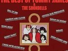 Tommy James and The Shondells | Blue Vinyl LP | The Best of Tommy
