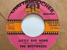 Garage Punk 45 THE BOSTWEEDS Little Bad News/Simple Man Chattahoochee HEAR Rare