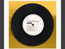 Peter Gabriel  Vinyl Record - 