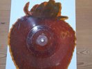 Strawberry Switchblade Very Rare Jolene Strawberry Shaped Picture Disc Vinyl 7