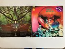 Amon Düül Yeti Platten sehr gut  1970 Original 1st German