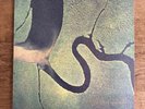 Dead Can Dance (The Serpent's Egg) - Vinyl Record
