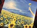 Stone Temple Pilots - THANK YOU - VINYL 2LP ROCKTOBER LIMITED EDITION (open)