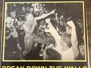 Youth Of Today Break Down The Walls Rare Yellow Variant W Insert
