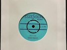 Jamaican Foundations / The Viceroys – Take It Cool / Try Hard To Leave – USED Vi