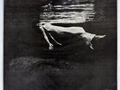 BILL EVANS UNDERCURRENT SOLID STATE SR3084 JAPAN VINYL LP